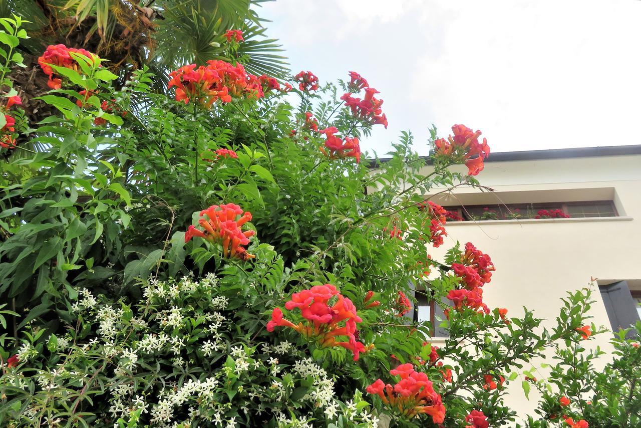 Locanda Alla Posta บอร์โซ เดล กราปปา ภายนอก รูปภาพ