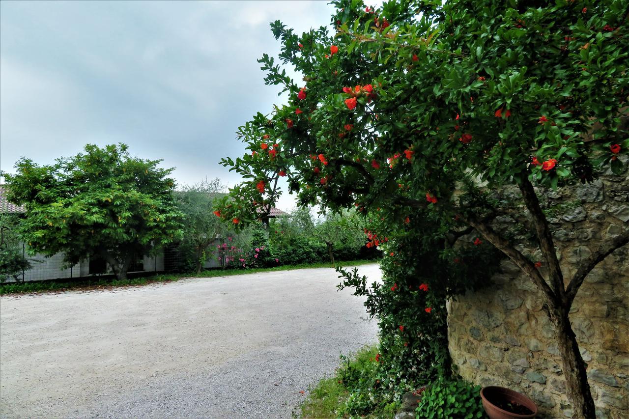 Locanda Alla Posta บอร์โซ เดล กราปปา ภายนอก รูปภาพ