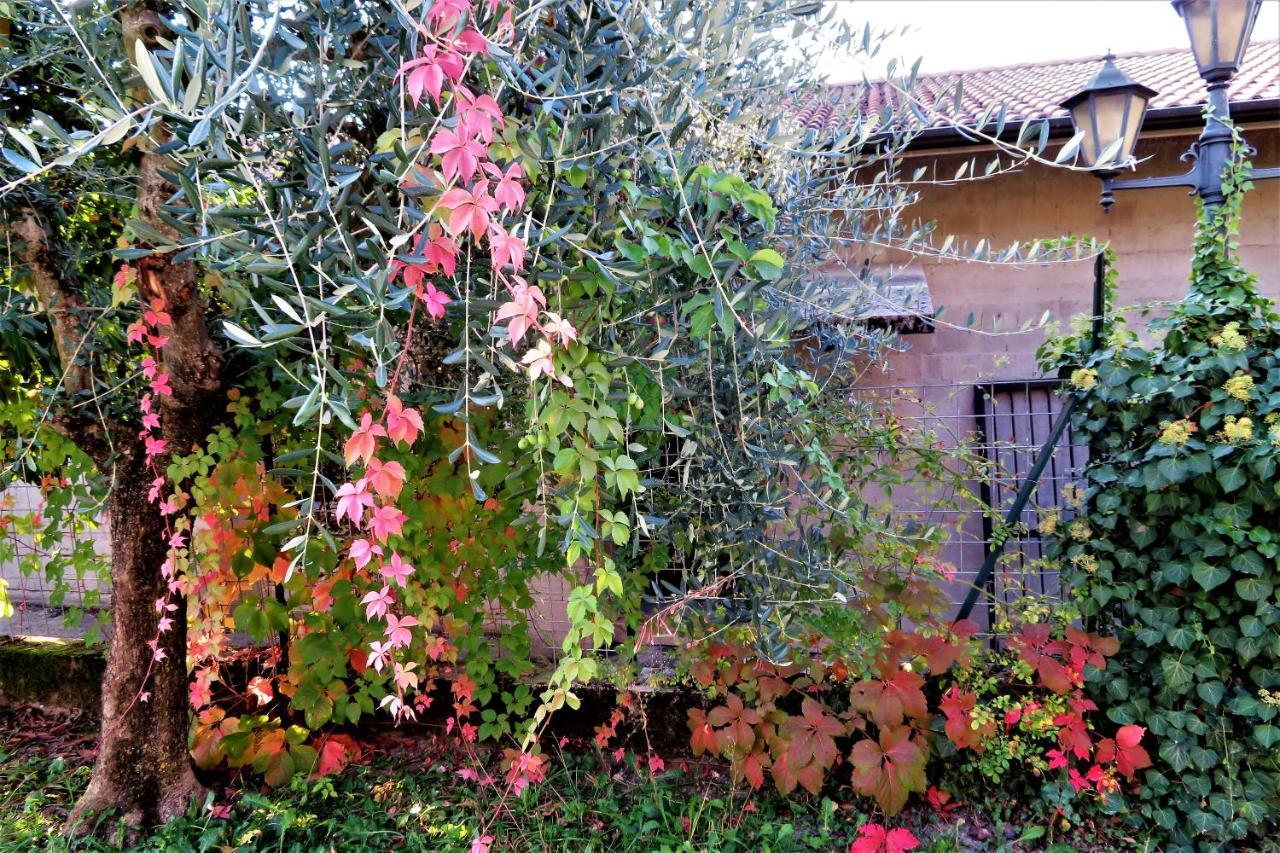 Locanda Alla Posta บอร์โซ เดล กราปปา ภายนอก รูปภาพ